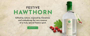 Hawthorn Festive Gin - Available Now!